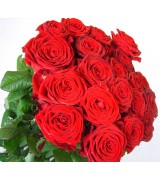kytice červených růží 20 ks krásná a dokonalá klasika