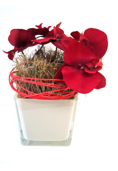 umělá orchidej červené barvy v krémovém skle La Vida
