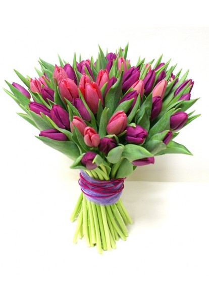 Tulipány v růžové a fialové