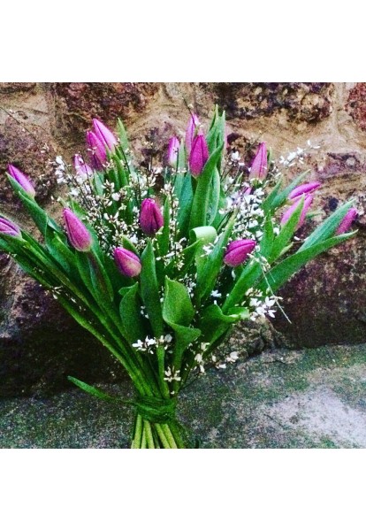 20 tulipánů s voňavým bremem