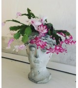 Květináč hlava antika
