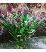 20 tulipánů s voňavým bremem